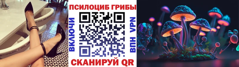 Купить  Кыштым  Галлюциногенные грибы мицелий 